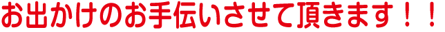 お出かけのお手伝いさせて頂きます!!